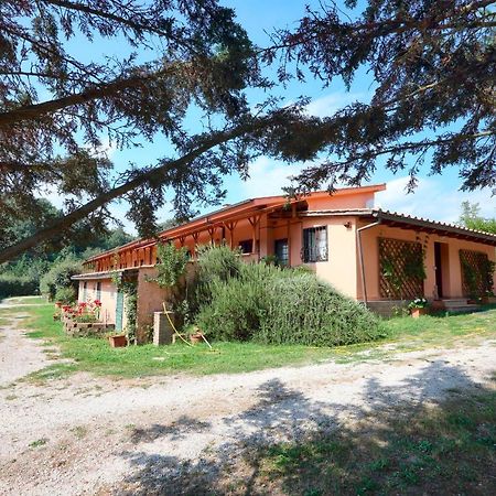 La Dimora Degli Etruschi Hostel Civitella Cesi Exterior photo