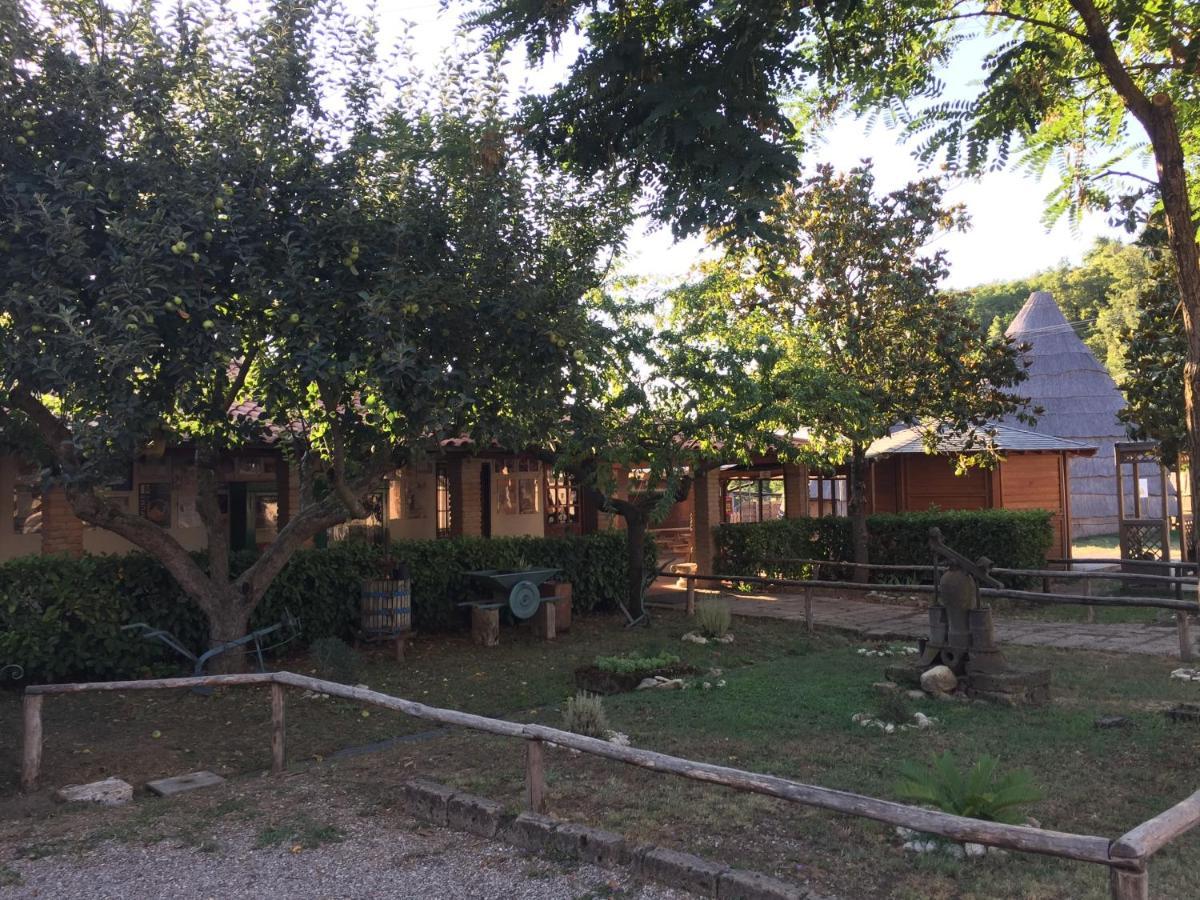 La Dimora Degli Etruschi Hostel Civitella Cesi Exterior photo