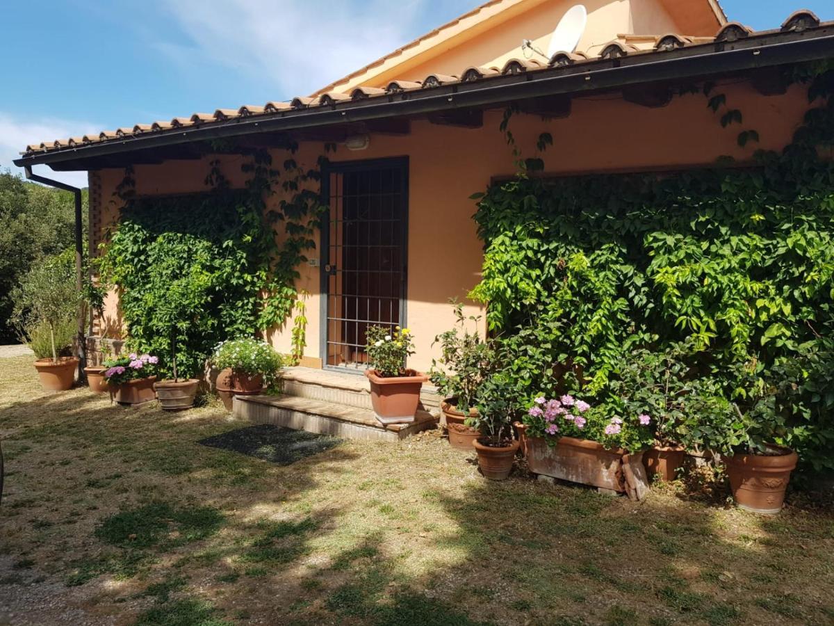 La Dimora Degli Etruschi Hostel Civitella Cesi Exterior photo